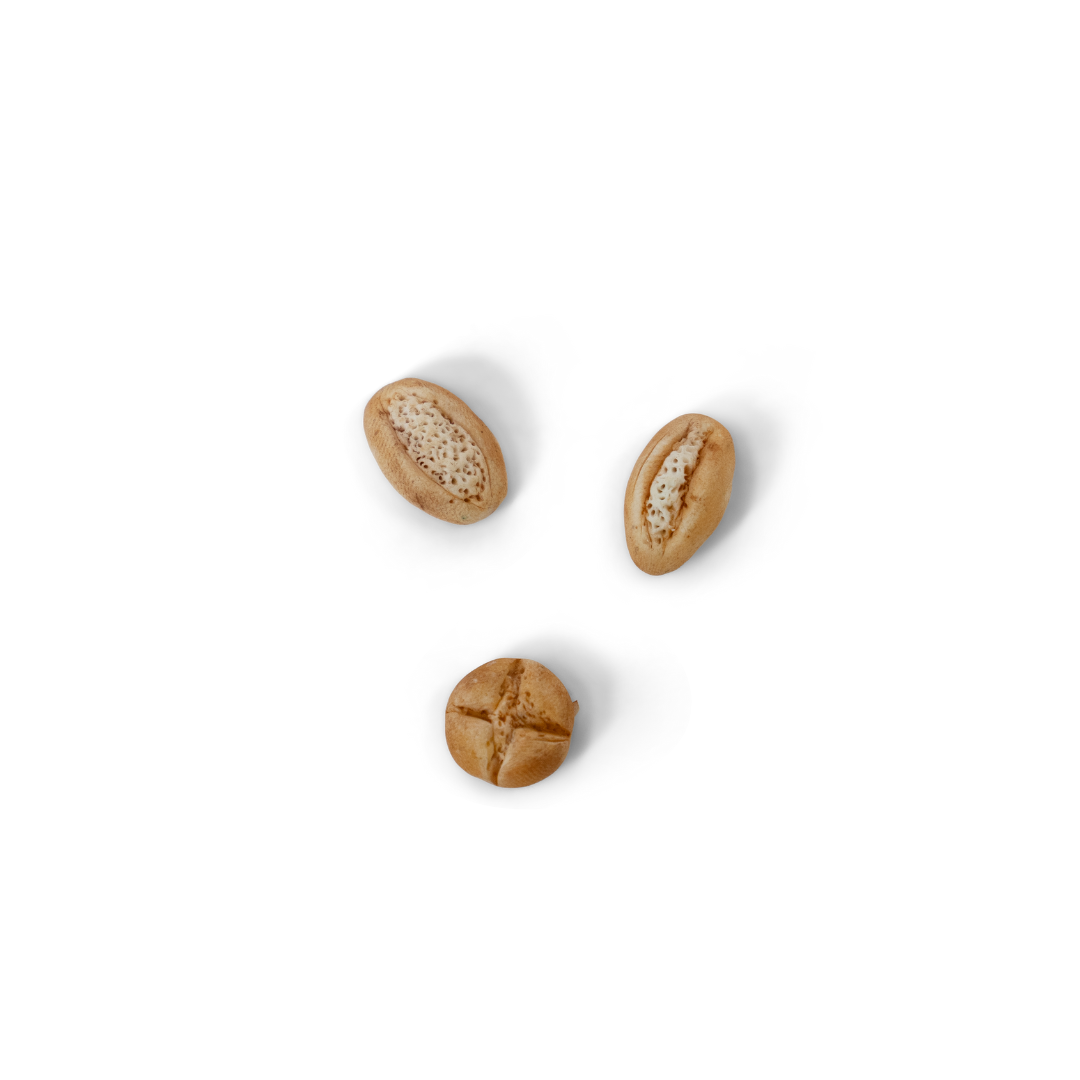 Polymer Clay - Set of 12 basic colours